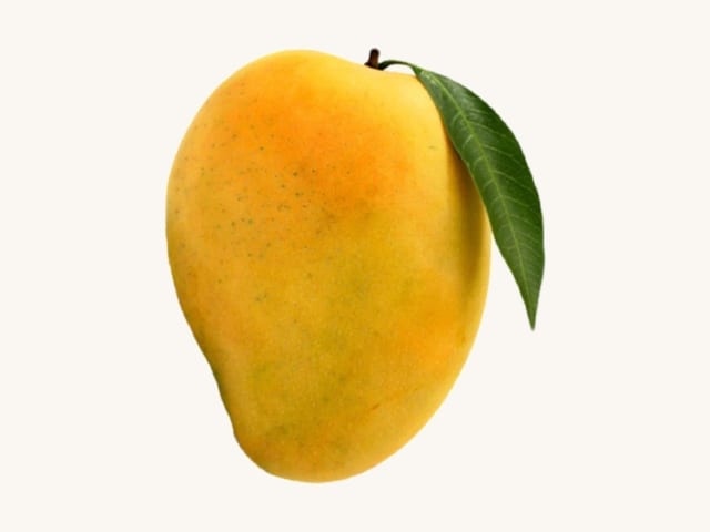 Mango — photograph