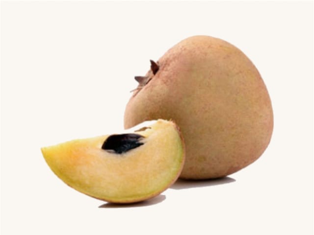 Sapota (chikoo), ripe — photograph