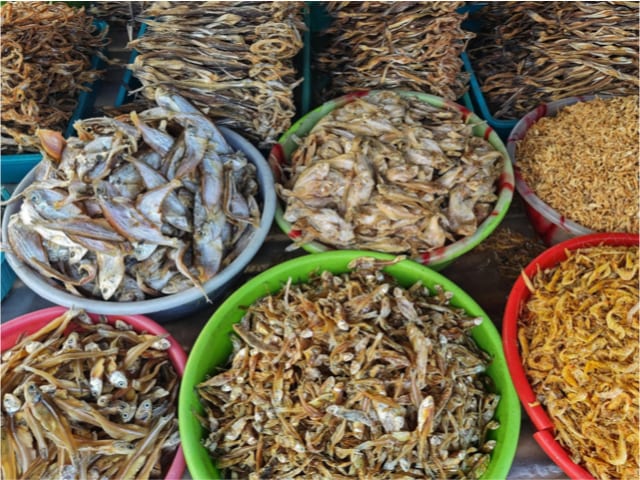Dried fish (salted and sun-dried) — photograph