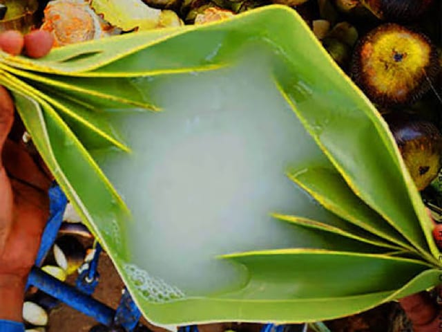 Pathaneer (Fresh Palm Sap) — photograph