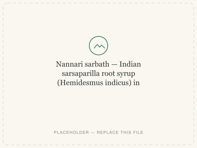 Nannari sarbath — Indian sarsaparilla root syrup (Hemidesmus indicus) in water, soda or milk — photograph