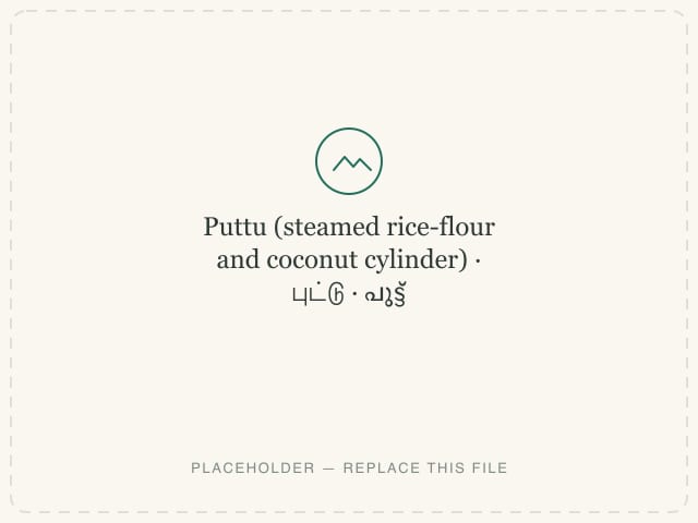 Puttu (steamed rice-flour and coconut cylinder) — photograph