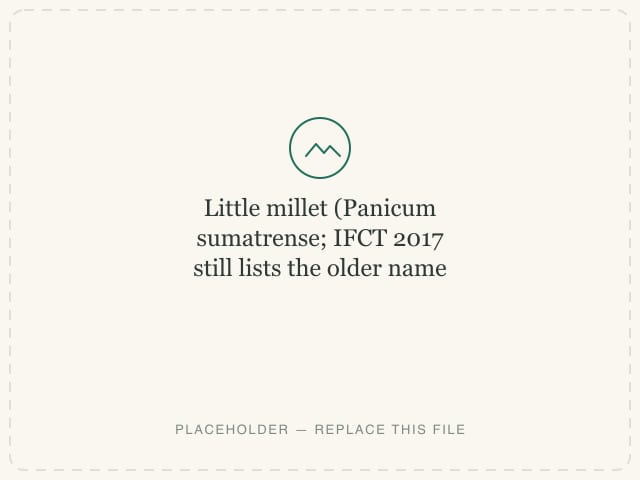 Little millet (Panicum sumatrense; IFCT 2017 still lists the older name Panicum miliare) — photograph